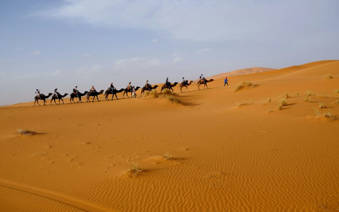 Tour de 10 Días por Marruecos: De Casablanca a Marrakech