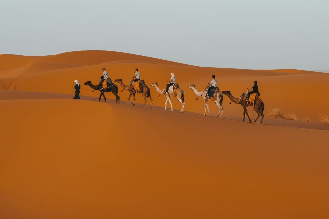 Tour de 5 Días desde Errachidia a Marrakech: Desierto y Atlas