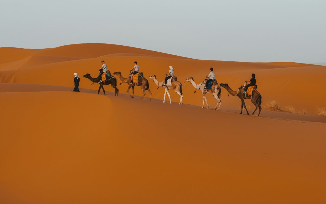 Tour de 5 Días por el Desierto del Sahara de Fez a Marrakech