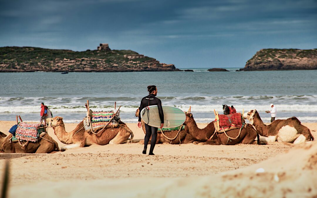 Excursión de un Día de Marrakech a Essaouira