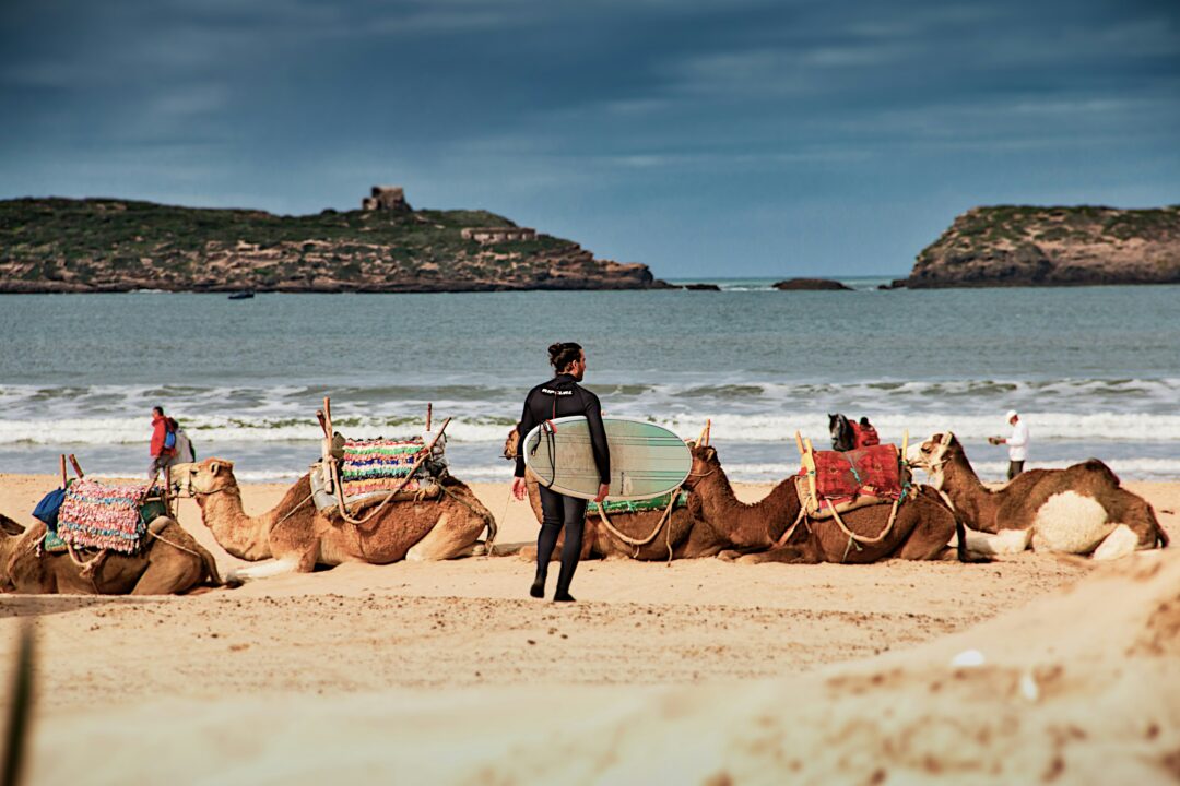 Excursión de un Día de Marrakech a Essaouira
