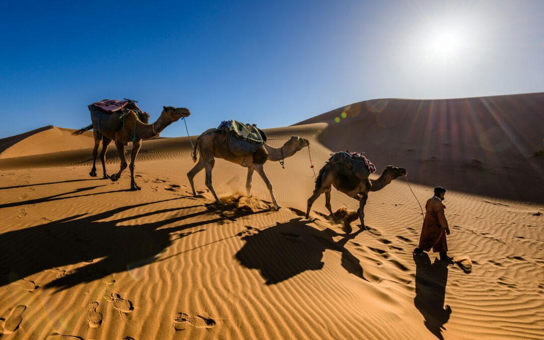 Tour de 4 Días por el Desierto del Sahara de Fez a Marrakech