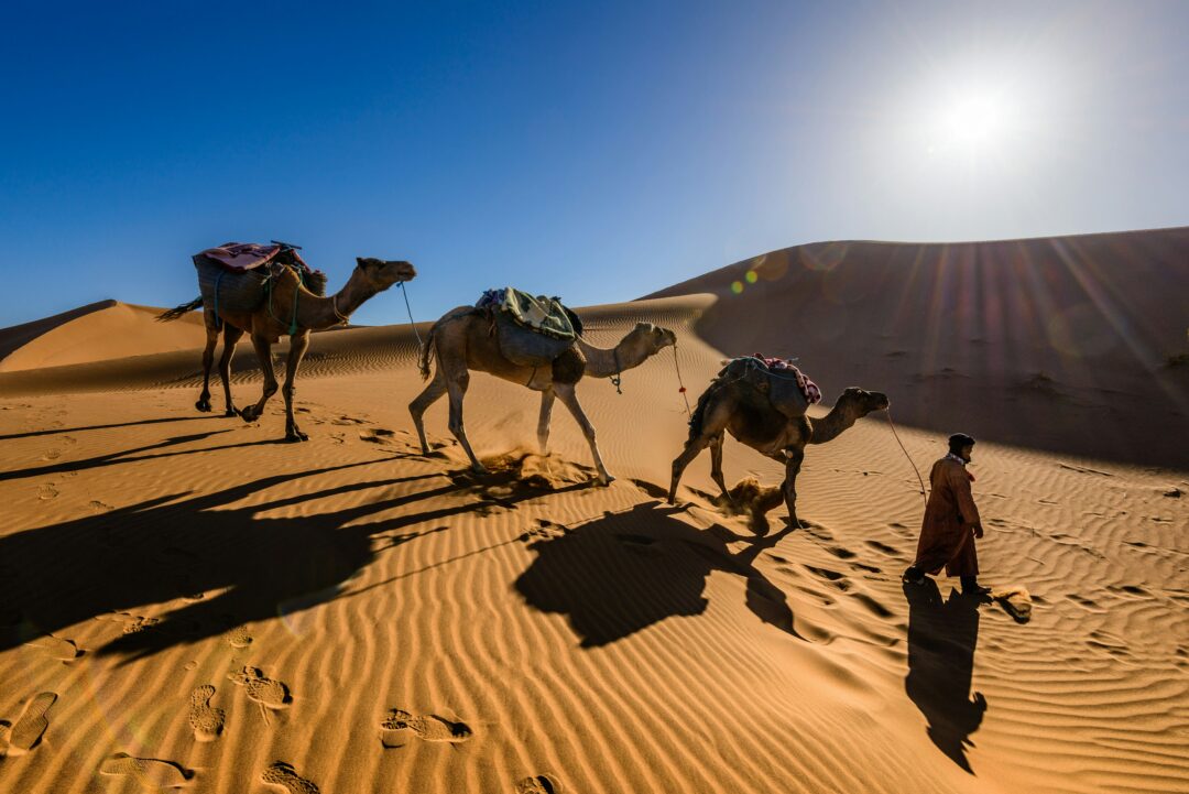 Tour de 4 Días por el Desierto del Sahara de Fez a Marrakech