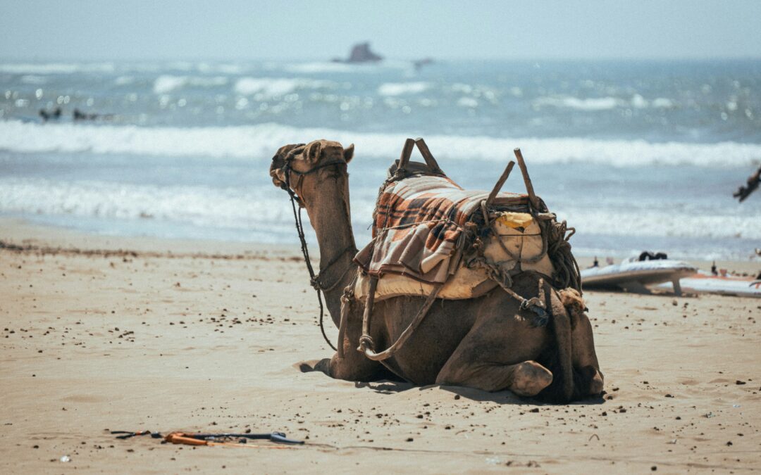 Tour de 4 Días por el Desierto desde Agadir