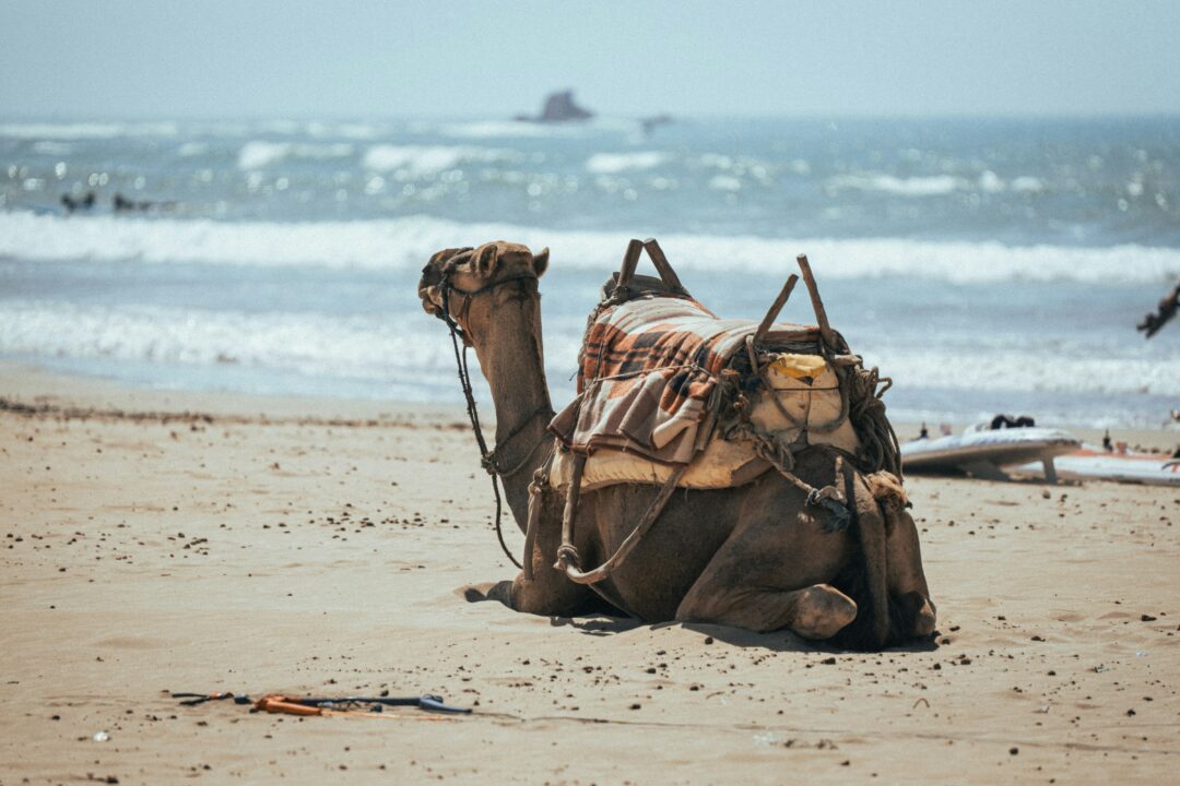 Tour de 4 Días por el Desierto desde Agadir