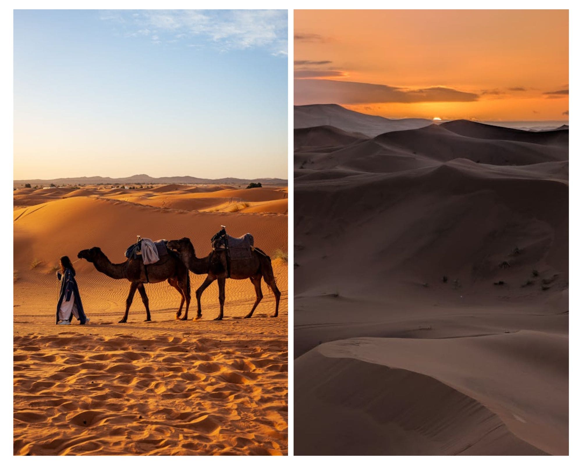Collage que muestra glamping lujo sahara marruecos