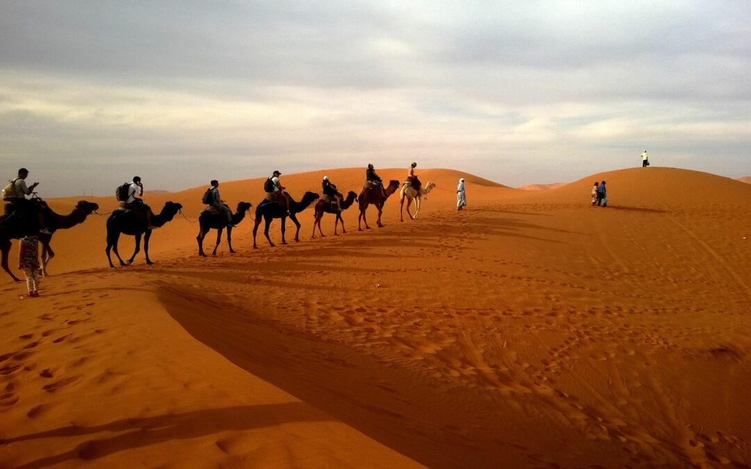 ¿Cuál es el mejor mes para viajar a Marruecos? Guía completa 2026