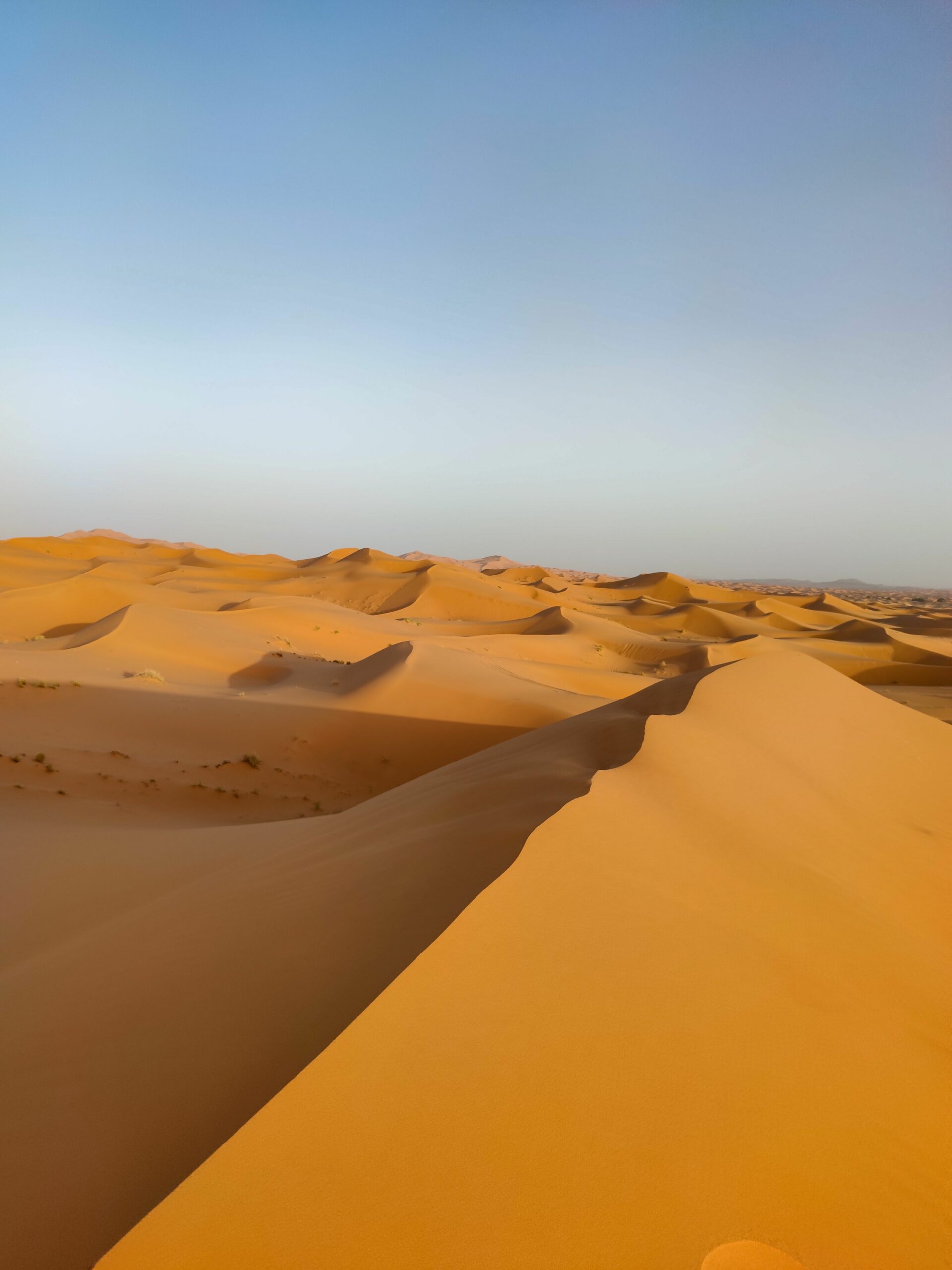 Desierto de Merzouga Tour de 7 Días de Tánger a Marrakech
